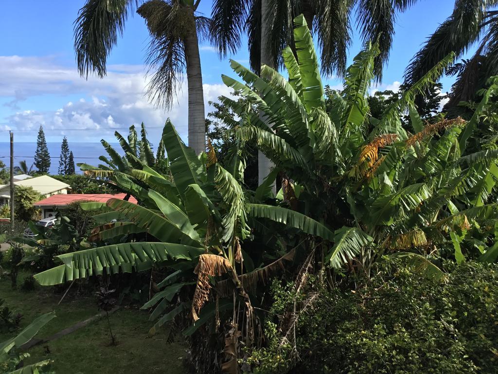 Hotel Honokaa Exteriör bild